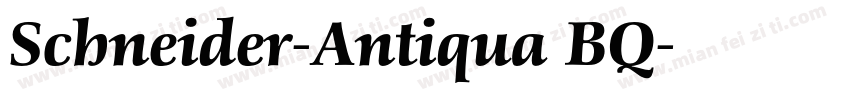 Schneider-Antiqua BQ字体转换